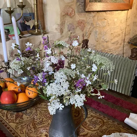 Maison Les Beaux Arts Bed & Breakfast Mouzay (Indre-et-Loire)