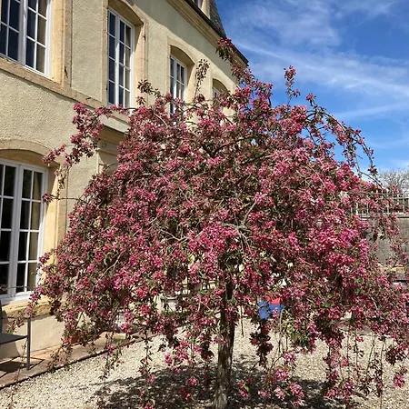 B&B Maison Les Beaux Arts *