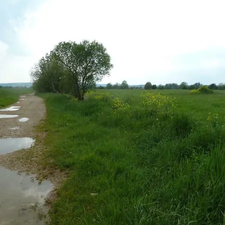 Maison Les Beaux Arts Bed & Breakfast Mouzay (Indre-et-Loire)