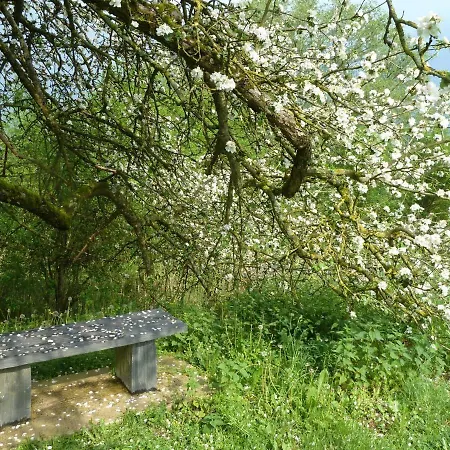 Maison Les Beaux Arts Bed & Breakfast *