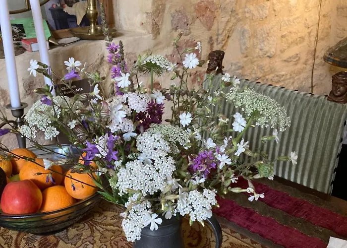 Maison Les Beaux Arts Bed & Breakfast Mouzay (Indre-et-Loire)