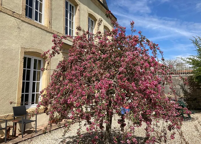 Bed & Breakfast Maison Les Beaux Arts *