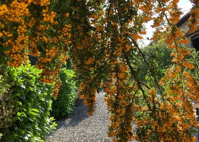 Maison Les Beaux Arts