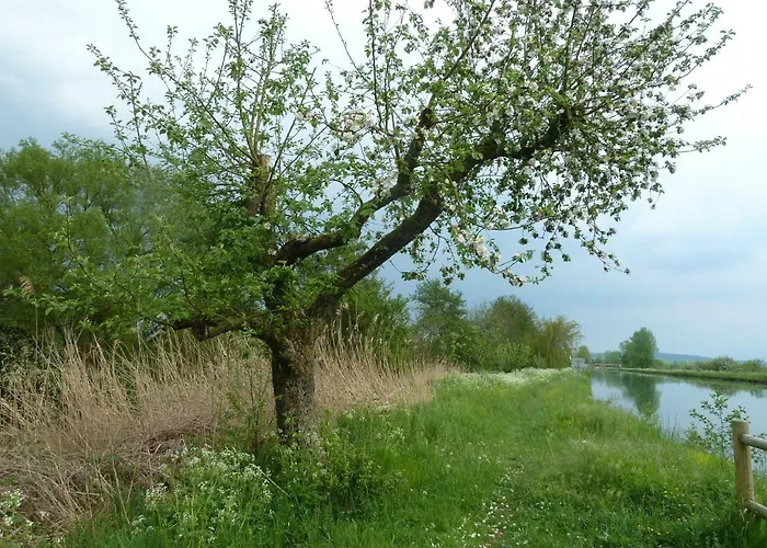 B&B Maison Les Beaux Arts *