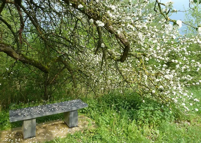 Maison Les Beaux Arts Bed & Breakfast *